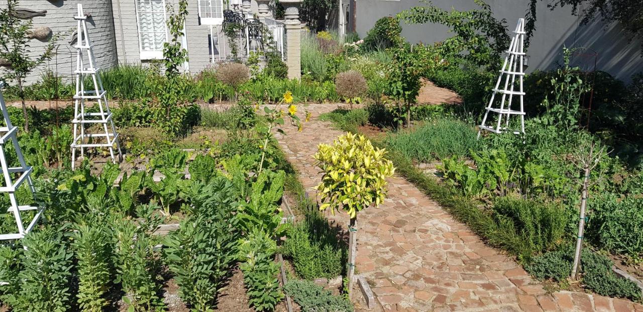 Villa Moi Johannesburg Luaran gambar